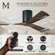 Atlas Irene-3H 60 inch Matte Black with Walnut Tone Blades Flush Mount Paddle Fan